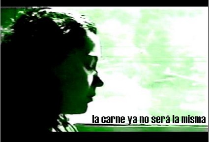 Carnelia
