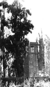 torregrimaldi