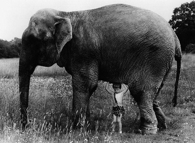 boy-appearing-to-lift-elephant.jpg